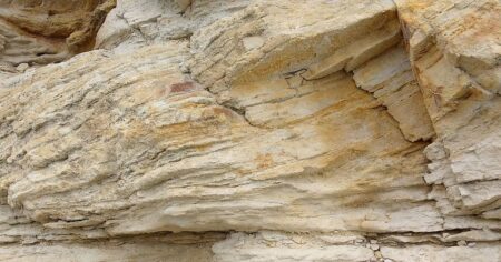 Unikátní pláž Sandberg u Bratislavy uchovává stopy miocenního moře a mořských živočichů. Zachovala se díky specifické geologii lokality