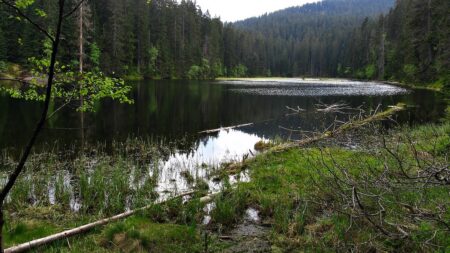 Armáda srovnala šumavskou ves se zemí, ale jednu kapli nechala stát. Sloužila jako dělostřelecká pozorovatelna