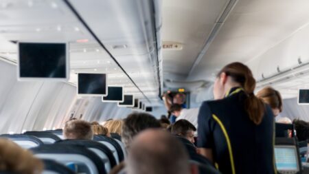 Kódové slovo „mořská panna“ má mezi letuškami a stevardy konkrétní význam