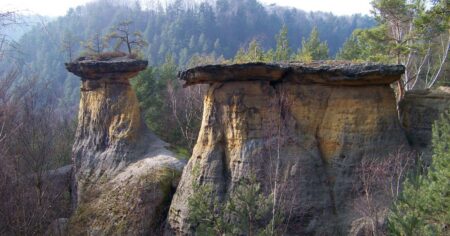 Kokořínské Pokličky vznikly selektivní erozí různě odolných pískovců a slepenců, mnohdy vypadají bizarně
