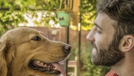 Tajný slovník psího chování: Tato nenápadná gesta ukazují, jak vás váš pes miluje