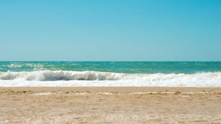 Na plážích Ibizy a Mallorky se objevili hadi, úřady řeší obavy turistů