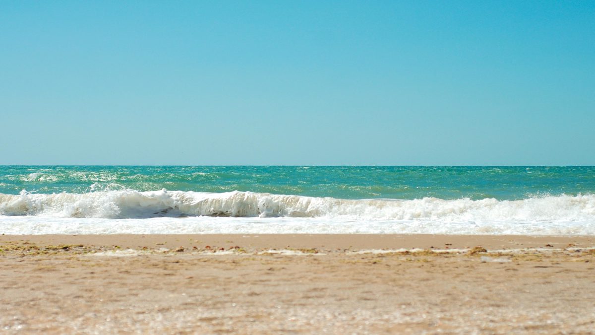 Na plážích Ibizy a Mallorky se objevili hadi, úřady řeší obavy turistů