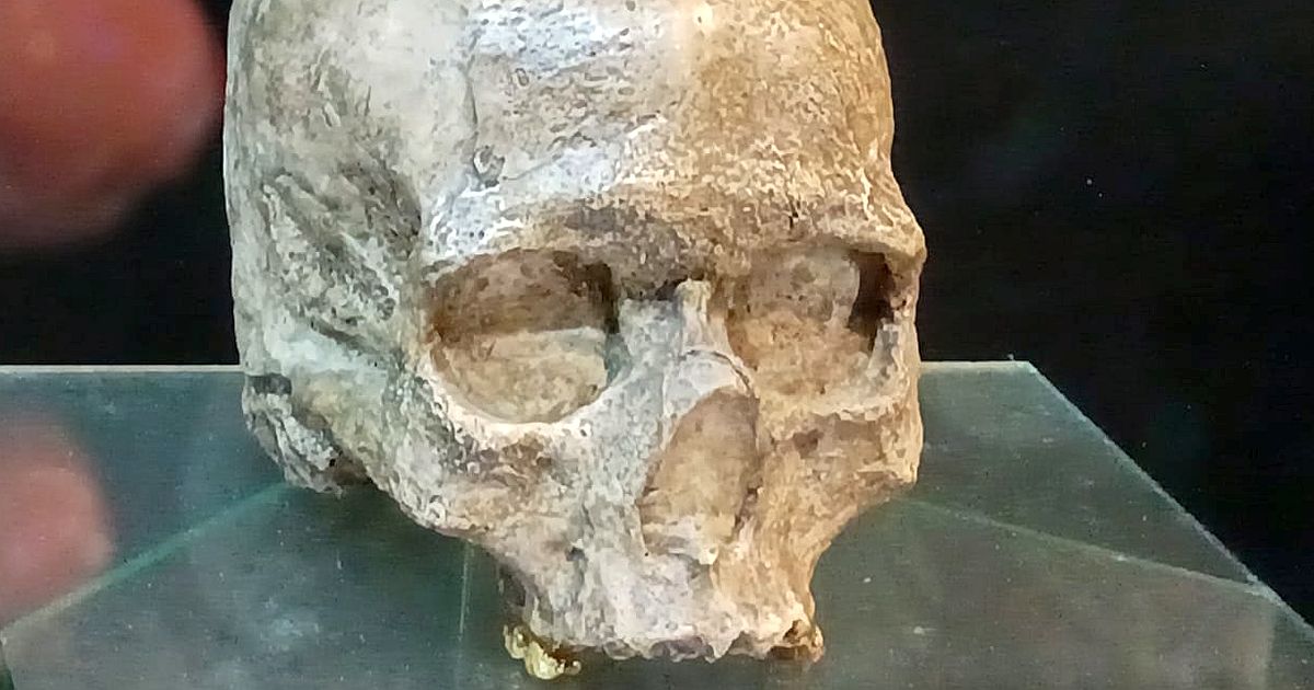 DNA z francouzské hrobky odhalila zánik jedné populace a její nahrazení nově příchozími