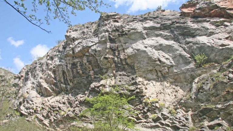Radotínské údolí patří k nejbohatším paleontologickým lokalitám v pražských vápencích, turisté šlapou po mořském dně