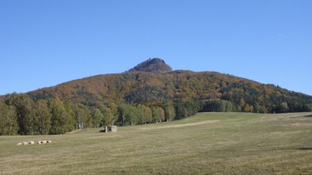 V Ralsku vznikl jeden z nejdivočejších lesů Česka. Lidé do něj nesmějí, v půdě leží nevybuchlá sovětská munice