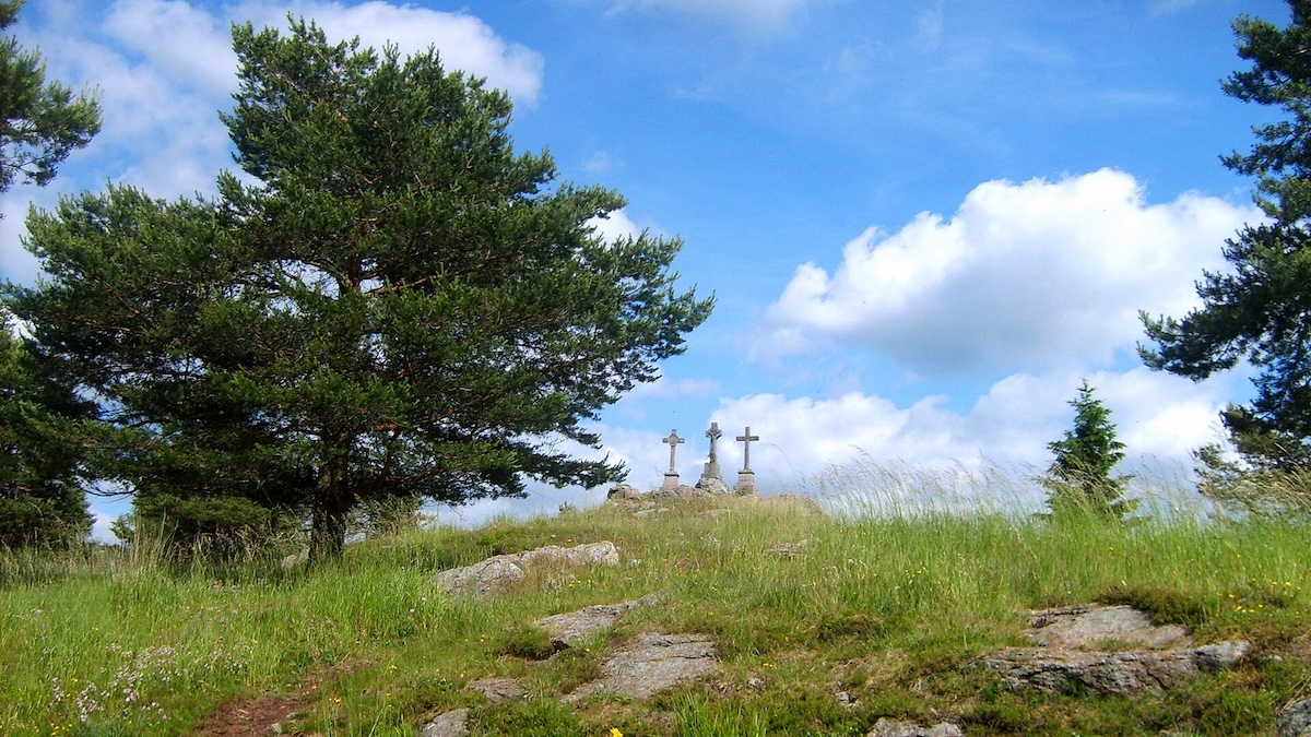 Křížky ve Slavkovském lese překvapí plotem. Unikátní hadcové podloží tu mění složení rostlin