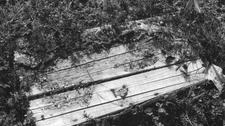 Případ Somerton Man ukazuje, jak moderní genetika mění staré kriminalistické záhady. Po 75 letech má mrtvý muž konečně jméno
