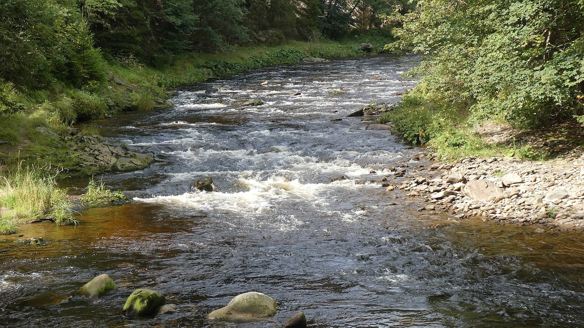 Na Šumavě stála obec větší než většina českých měst. Stodůlky měly 2 000 obyvatel, mlýn i elektrárnu. Pak přijely tanky