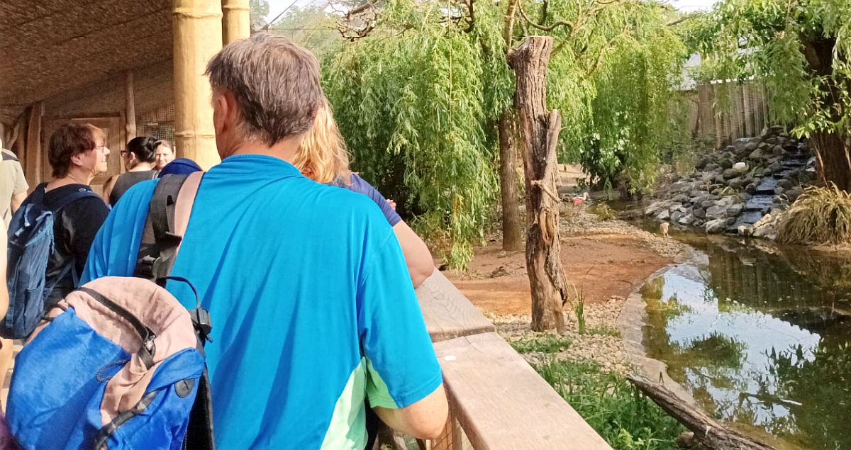Lidé v uzavřeném prostoru se téměř vždy stáčejí doleva. Praváctví ani dominance nohy to nevysvětlují