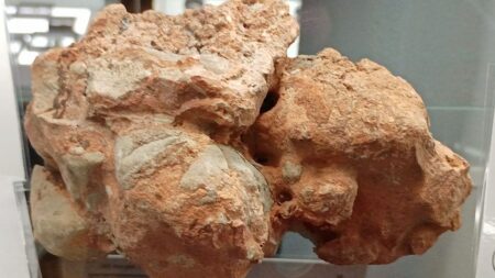 Meteorit nad Čeljabinskem zanechal oblak prachu, který oběhl Zemi za 4 dny. Uvnitř zrnek se skrývaly neznámé krystaly