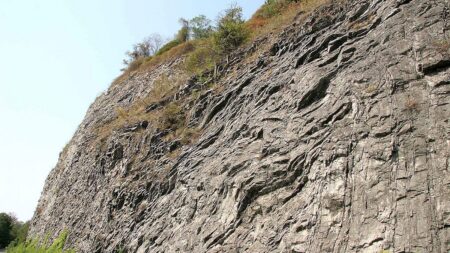 Barrandovské skály patří k významným profilům se zkamenělinami na hranici siluru a devonu