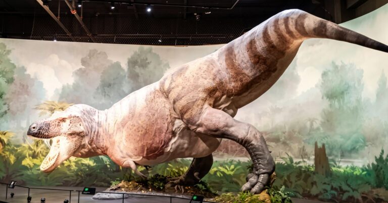 Nejnovější rekonstrukce T-rexe mi dává trochu odlišnější vizáž, než na jakou jsme byli donedávna zvyklí