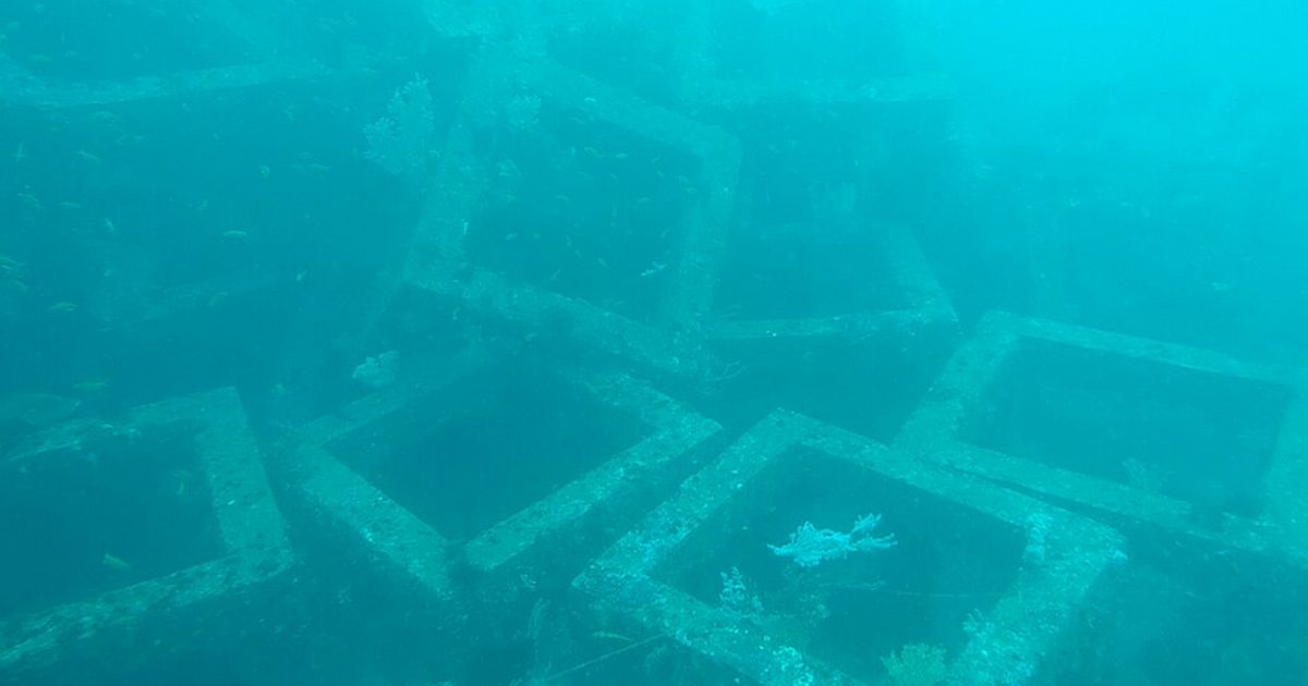 800 metrů kamenných bloků na dně u Baham připomíná cestu do Atlantidy. Za jejich uspořádáním stojí unikátní geologie