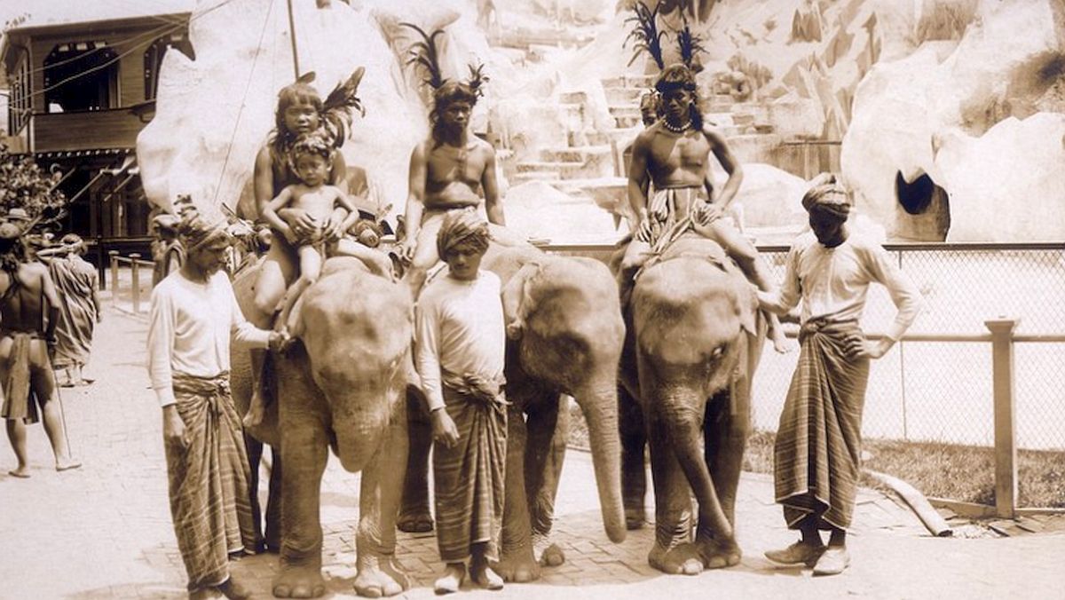 Zoo v Cincinnati vydělala na indiánech 25 000 dolarů za tři měsíce. Lidské výstavy vznikly jako odnož obchodu s exotickou zvěří