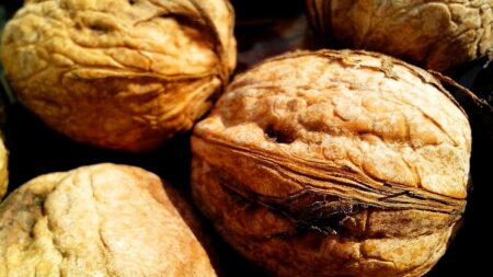 Nejsilnější přírodní karcinogen roste na vlašských ořeších ve spíži. Aflatoxin B1 vzniká ve vlhku a tepelná úprava ho nerozkládá