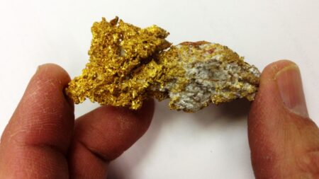 Pod Kašperskými Horami leží čtvrtina českého zlata. Do sedimentů ho zanesly geologické procesy, které trvaly miliony let