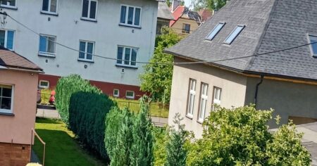 Nevzhledný plot zmizí za jednu sezonu. Klíč je v kombinaci jednoletých a vytrvalých druhů, které si nepřekážejí v kořenové zóně